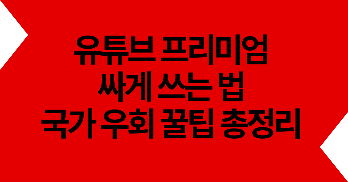 유튜브 프리미엄 싸게 쓰는 법: 국가 우회 꿀팁 총정리
