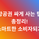 항공권 싸게 사는 팁 총정리! 스마트한 소비자되기