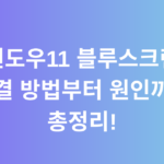 윈도우11 블루스크린 해결 방법부터 원인까지 총정리!