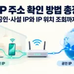 집 안의 노트북과 스마트폰이 공유기를 통해 위치 핀이 표시된 지구본에 연결되어 사설 IP와 공인 IP의 차이 및 IP 위치 조회를 설명하는 이미지.